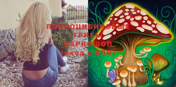 гидропоника Алексеевка