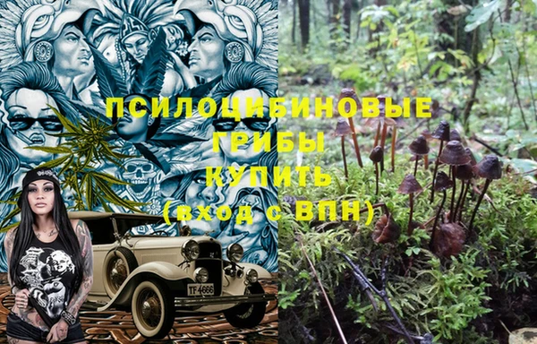 гидра Алексин